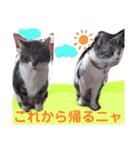ぶちこと愉快な仲間達（個別スタンプ：11）