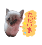 ぶちこと愉快な仲間達（個別スタンプ：18）