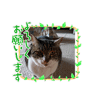愉快な可愛い仲間達（個別スタンプ：4）