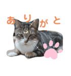 愉快な可愛い仲間達（個別スタンプ：6）