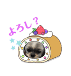 シーズー♀ルー スタンプ（個別スタンプ：31）