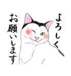 【敬語】富士額の猫が敬語から豹変（個別スタンプ：4）