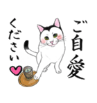 【敬語】富士額の猫が敬語から豹変（個別スタンプ：8）