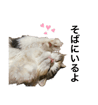 もこリコねこと仲間たち②（個別スタンプ：21）