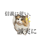 もこリコねこと仲間たち②（個別スタンプ：39）