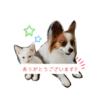 犬＆猫(dog＆cat)（個別スタンプ：4）