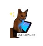 犬＆猫(dog＆cat)（個別スタンプ：5）