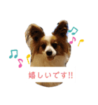 犬＆猫(dog＆cat)（個別スタンプ：23）