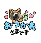 柴犬モコ＆稲穂4（個別スタンプ：3）