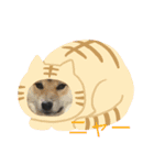 柴犬モコ＆稲穂4（個別スタンプ：9）