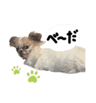 かおわん2（個別スタンプ：9）