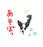 かおわん2（個別スタンプ：14）