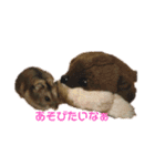 うちの天使ハムスターしらたま（個別スタンプ：8）