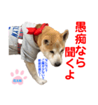 赤いりぼんの可愛い仲間達⑧（個別スタンプ：2）