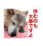 赤いりぼんの可愛い仲間達⑧（個別スタンプ：3）