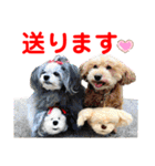 赤いりぼんの可愛い仲間達⑧（個別スタンプ：4）