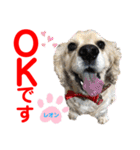 赤いりぼんの可愛い仲間達⑧（個別スタンプ：5）