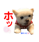 赤いりぼんの可愛い仲間達⑧（個別スタンプ：7）