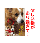 赤いりぼんの可愛い仲間達⑧（個別スタンプ：9）