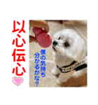 赤いりぼんの可愛い仲間達⑧（個別スタンプ：12）