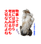赤いりぼんの可愛い仲間達⑧（個別スタンプ：15）