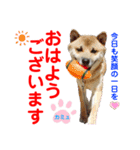 赤いりぼんの可愛い仲間達⑧（個別スタンプ：18）