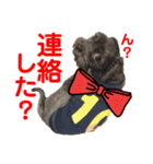 赤いりぼんの可愛い仲間達⑧（個別スタンプ：20）