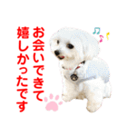 赤いりぼんの可愛い仲間達⑧（個別スタンプ：22）
