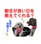 赤いりぼんの可愛い仲間達⑧（個別スタンプ：24）