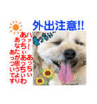 赤いりぼんの可愛い仲間達⑧（個別スタンプ：26）