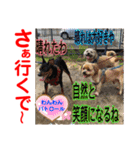 赤いりぼんの可愛い仲間達⑧（個別スタンプ：27）