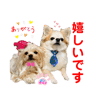 赤いりぼんの可愛い仲間達⑧（個別スタンプ：28）