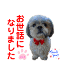 赤いりぼんの可愛い仲間達⑧（個別スタンプ：29）