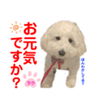 赤いりぼんの可愛い仲間達⑧（個別スタンプ：33）