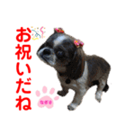 赤いりぼんの可愛い仲間達⑧（個別スタンプ：34）