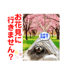 赤いりぼんの可愛い仲間達⑧（個別スタンプ：36）