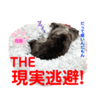 赤いりぼんの可愛い仲間達⑧（個別スタンプ：37）