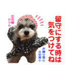 赤いりぼんの可愛い仲間達⑧（個別スタンプ：39）