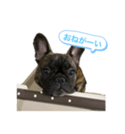僕の名前はボー（個別スタンプ：1）