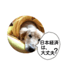 びーちゃん【夏22】（個別スタンプ：6）