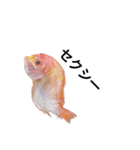 魚スタンピー（個別スタンプ：4）