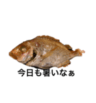 魚スタンピー（個別スタンプ：8）