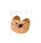 まさお スタンプ（個別スタンプ：1）