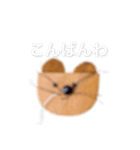 まさお スタンプ（個別スタンプ：3）