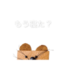 まさお スタンプ（個別スタンプ：5）