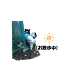 こけさん家（個別スタンプ：16）