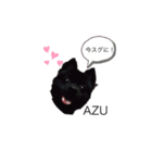 愛犬小豆ちゃん❤（個別スタンプ：5）