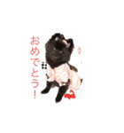 愛犬小豆ちゃん❤（個別スタンプ：21）
