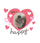 かめと2羽の鳥（個別スタンプ：3）