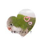 かめと2羽の鳥（個別スタンプ：5）
